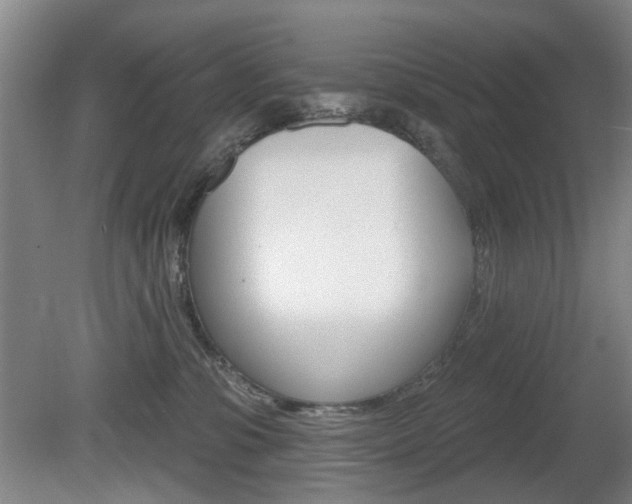 X0000081560331200701151006