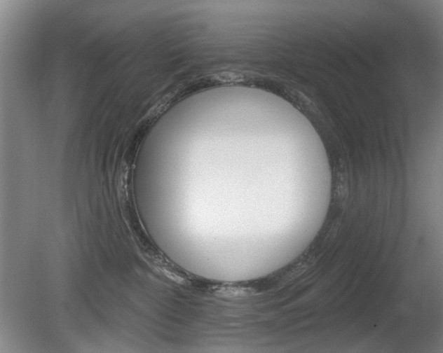 X0000081560332200701151006