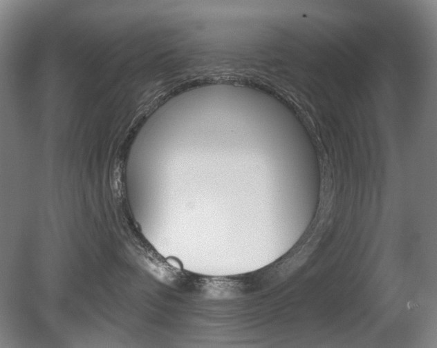 X0000081560336200701151006
