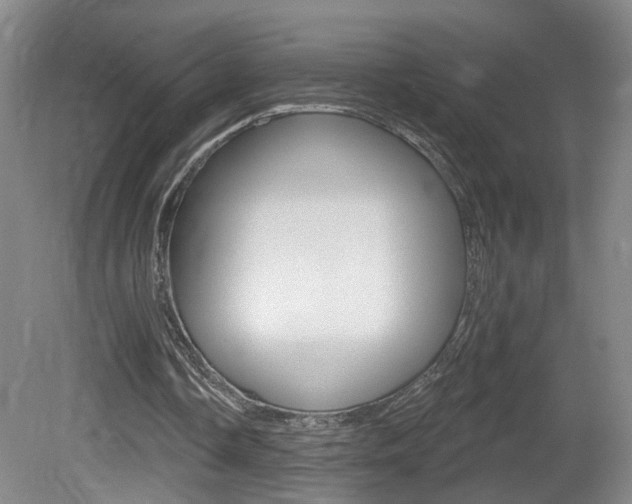 X0000081560338200701151005