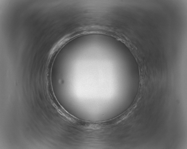 X0000081560341200701151005
