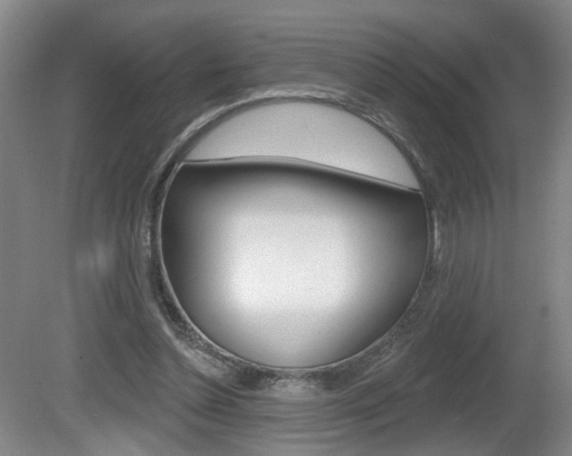 X0000081560348200701151005
