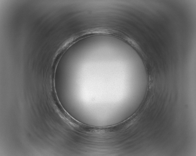 X0000081560349200701151005