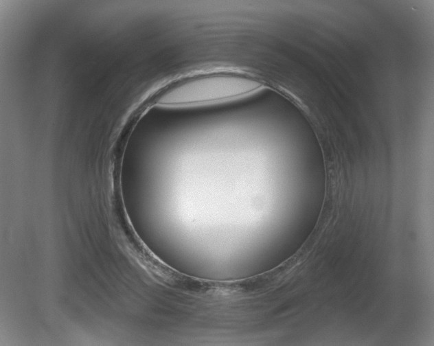 X0000081560350200701151005