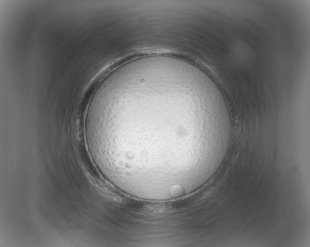 X0000081560351200701151005