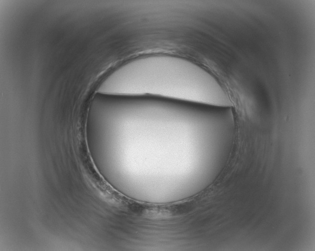 X0000081560354200701151005