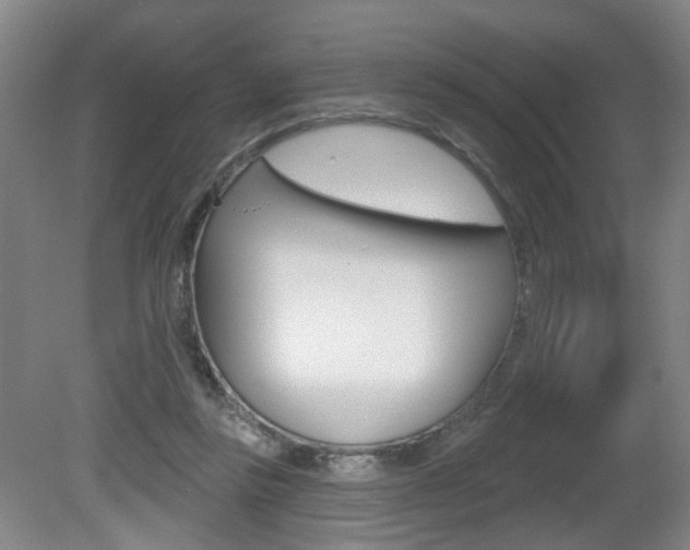 X0000081560355200701151005