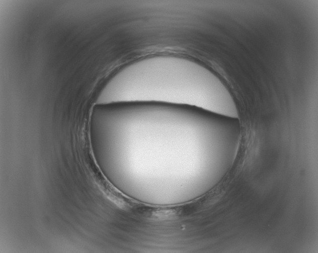 X0000081560357200701151006