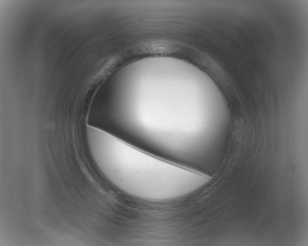 X0000081560358200701151006
