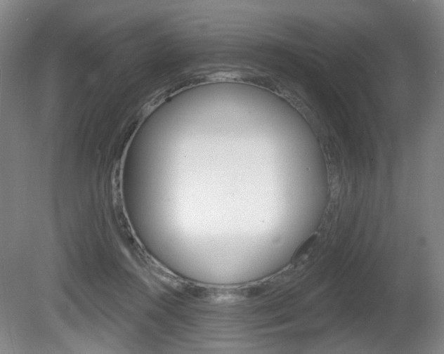 X0000081560360200701151006