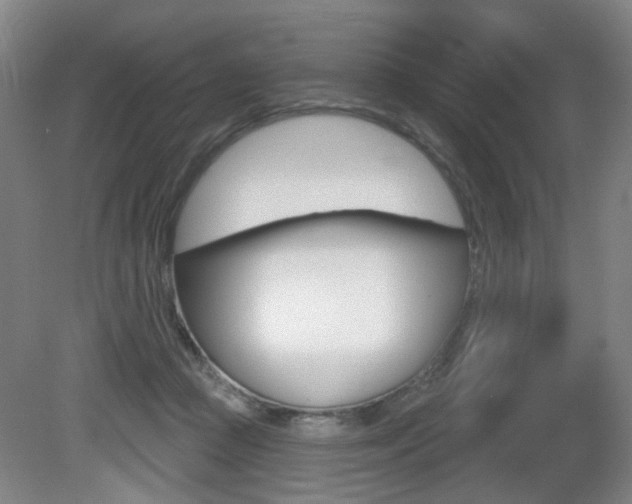 X0000081560361200701151006