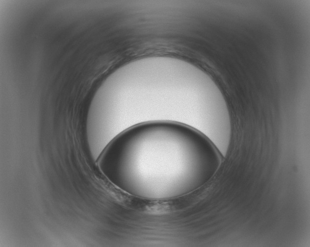 X0000081560362200701151006