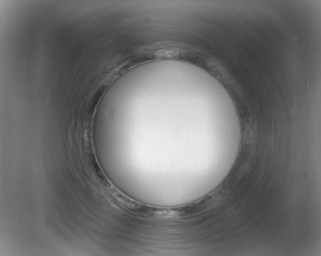 X0000081560363200701151006