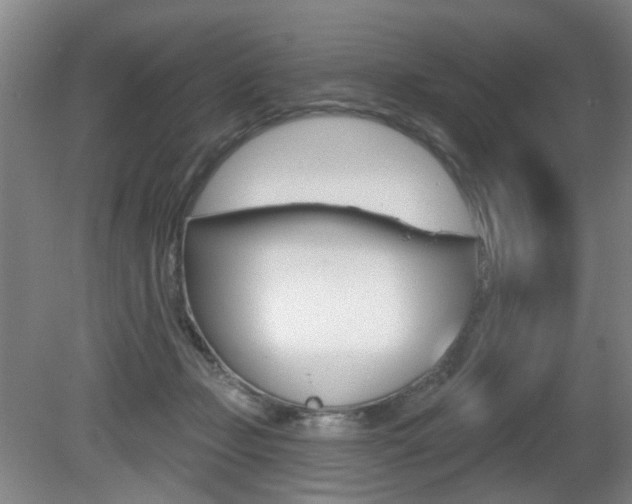 X0000081560365200701151006