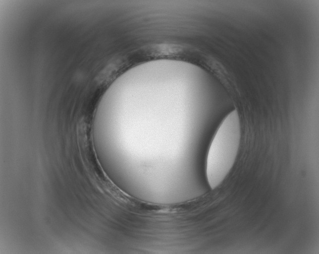 X0000081560366200701151006