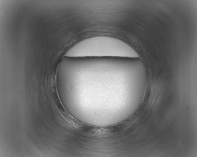 X0000081560367200701151006