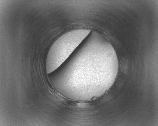 X0000081560371200701151006