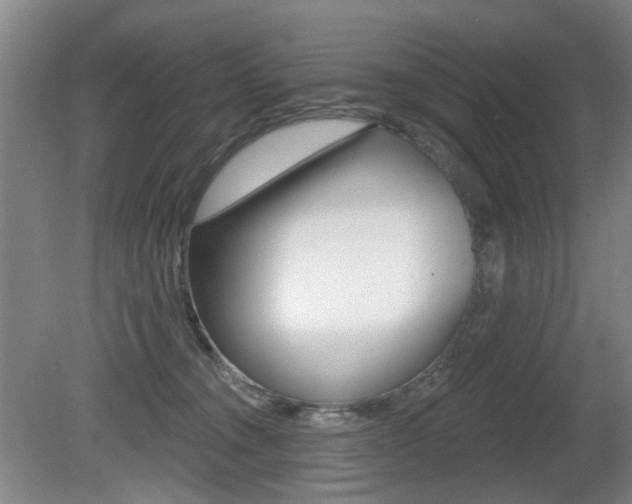 X0000081560372200701151006