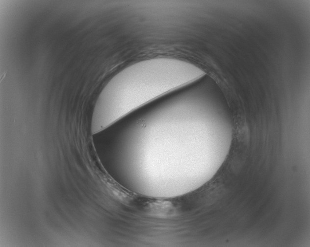 X0000081560374200701151006