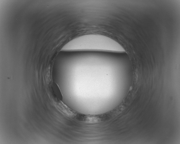 X0000081560376200701151006