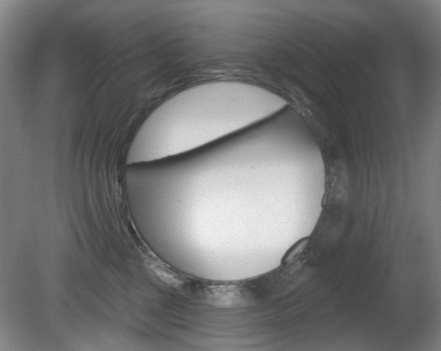 X0000081560377200701151006