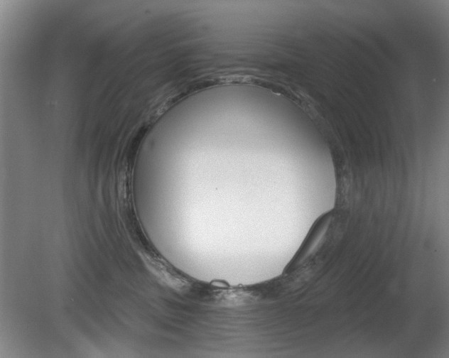 X0000081560379200701151006