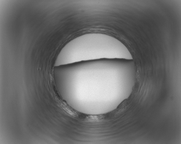 X0000081560381200701151006