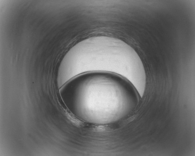 X0000081560382200701151006