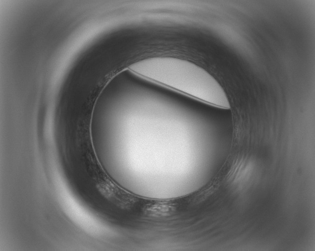 X0000081560383200701151006