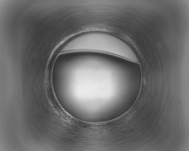 X0000081560388200701151005