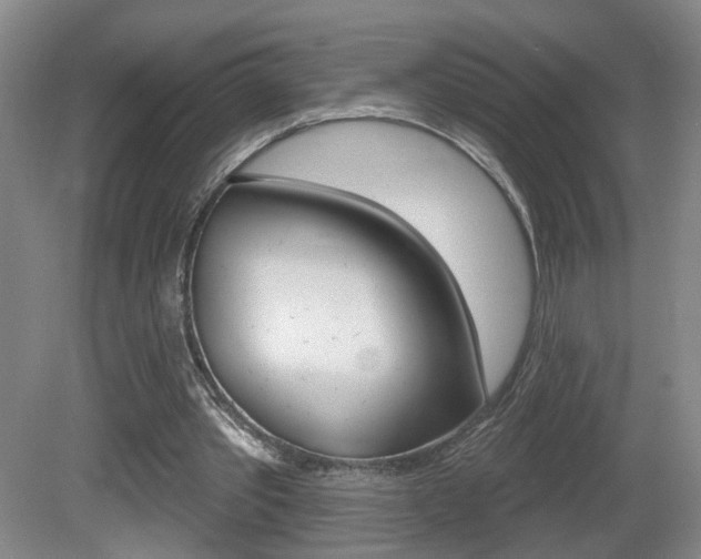 X0000081560389200701151005