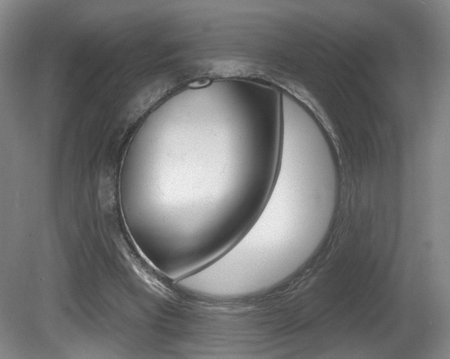 X0000081560393200701151005