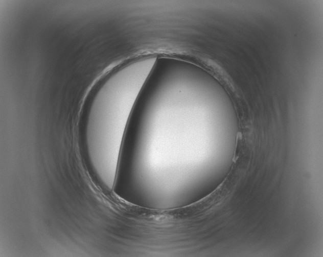 X0000081560395200701151005