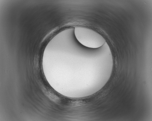 X0000081560396200701151005
