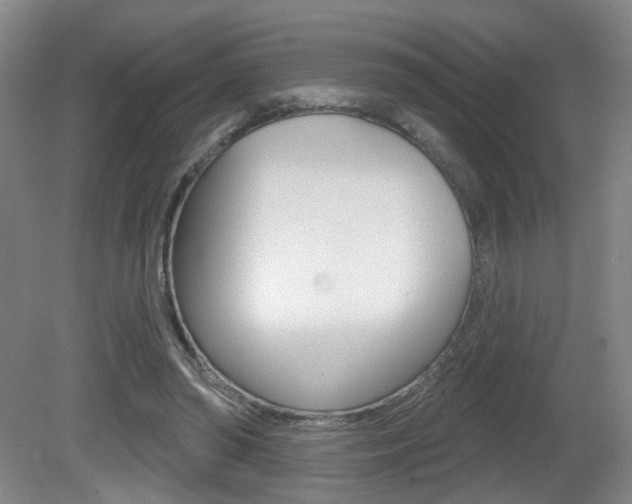 X0000081560398200701151005