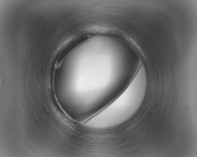 X0000081560399200701151005