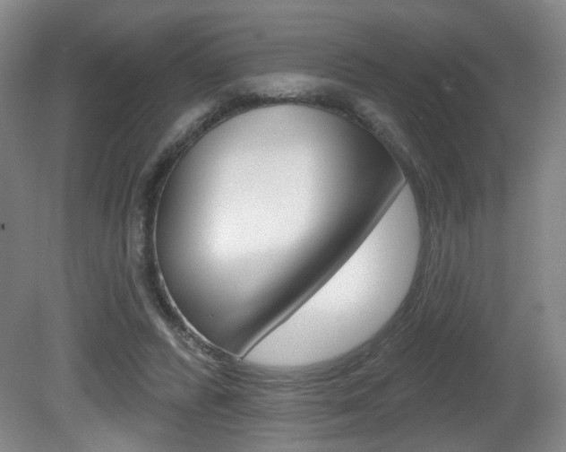 X0000081560400200701151005