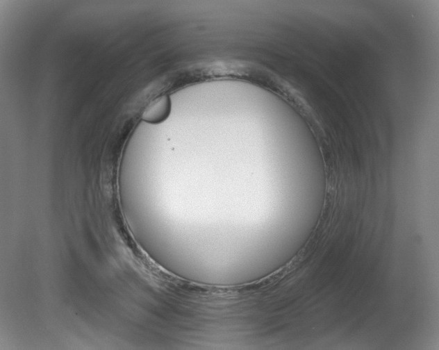 X0000081560402200701151005