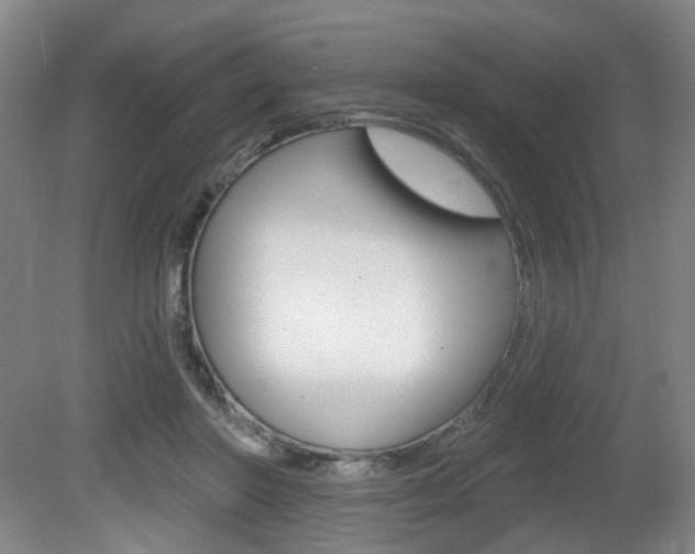 X0000081560406200701151005