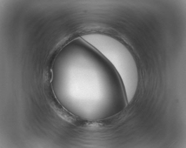 X0000081560407200701151005