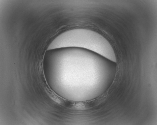 X0000081560409200701151005