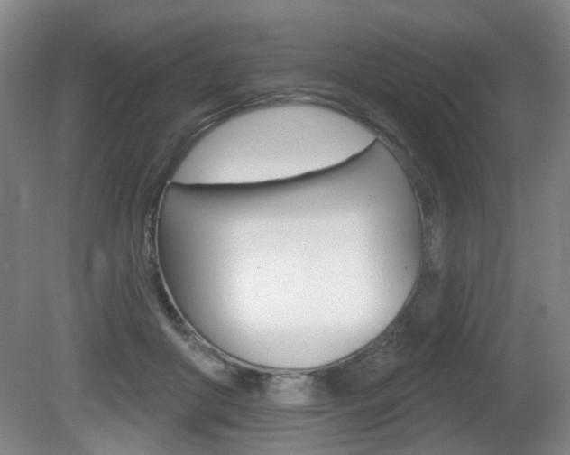 X0000081560410200701151005