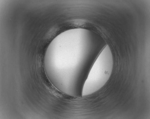 X0000081560412200701151005