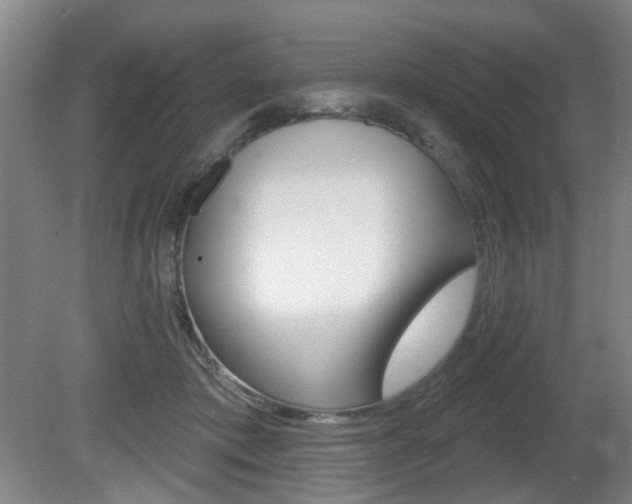 X0000081560413200701151005