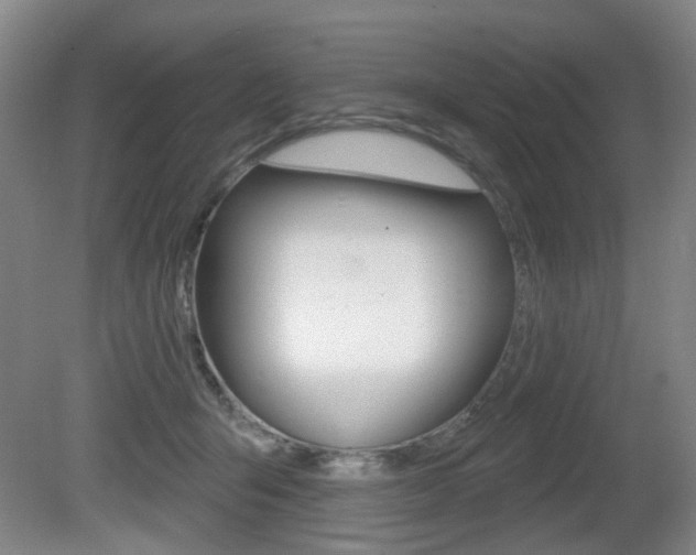 X0000081560415200701151005