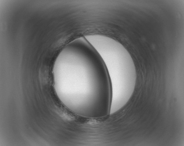 X0000081560416200701151005
