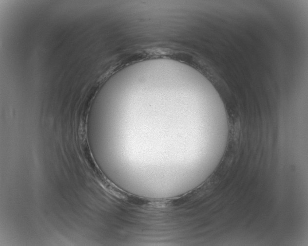 X0000081560418200701151005