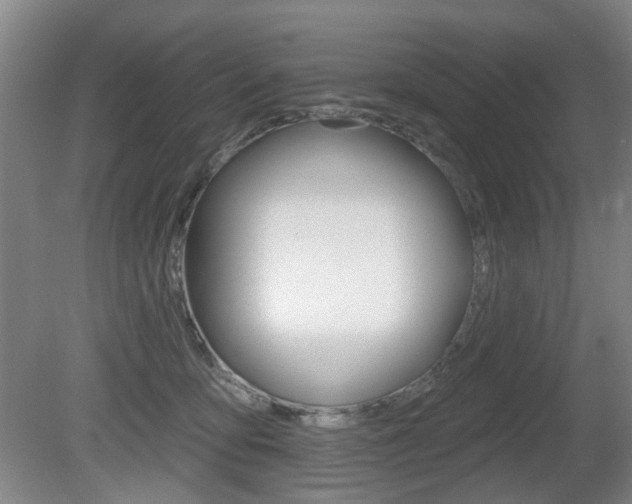 X0000081560419200701151005