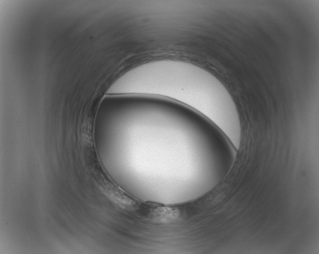 X0000081560421200701151005