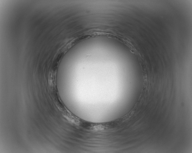 X0000081560423200701151005